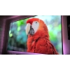 103-Inch 16:9 Front Projection Edge Free Screen
