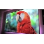 103-Inch 16:9 Front Projection Edge Free Screen