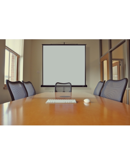 113-Inch 1:1 Front Projection Portable Screen