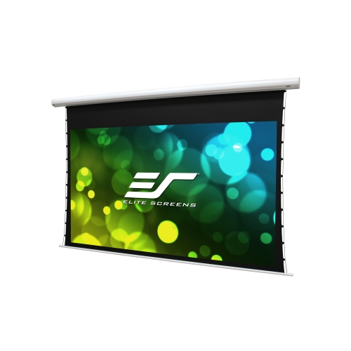 100-Inch 16:9 Front Projection Electric Screen