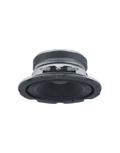 4" 15W Speaker Driver