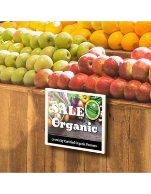 13.3-Inch Color ePaper Display