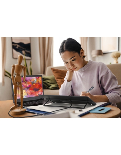 Wireless Portable Monitor 150BW