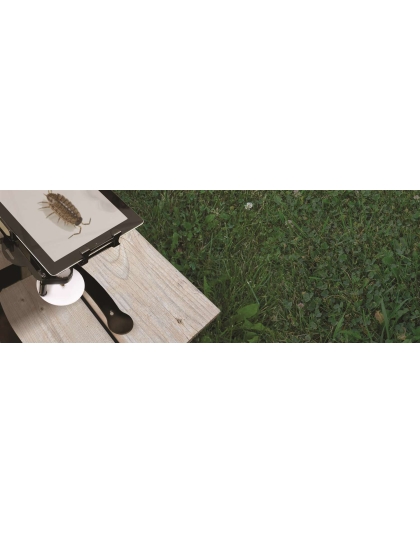 Dewey the Document Camera Stand with Microscope and Light