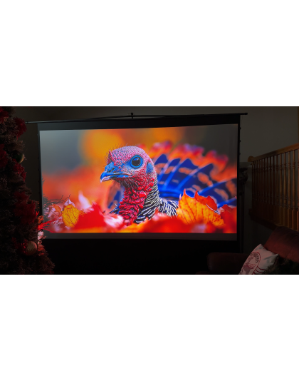123-Inch ezCinema Tab-Tension CineGrey 4D Portable 16:9 Front Projection Screen