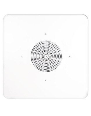 2'x2' G86 Ceiling Tile Speaker