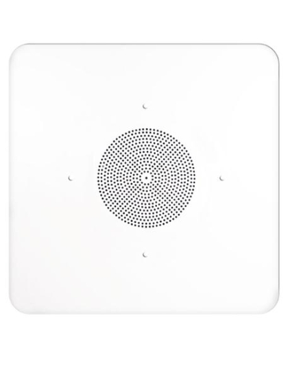 2'x2' G86 Ceiling Tile Speaker