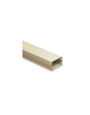 RACEWAY 1 1/4inW X 3/4inH X 6'L IV