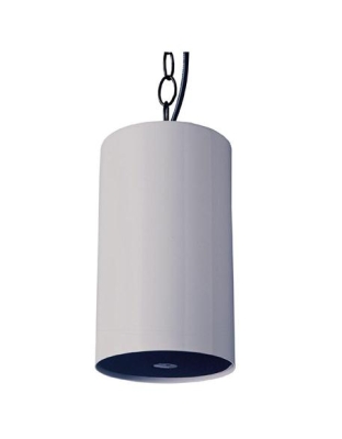 Pendant Speaker - Gray