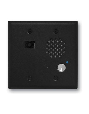 Entry Phone with Color Video Camera