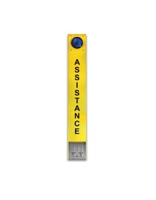Two-Button Assistance Tower Phone