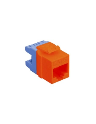 MODULE, CAT 5e, HD, RED