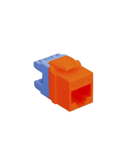 MODULE, CAT 5e, HD, RED