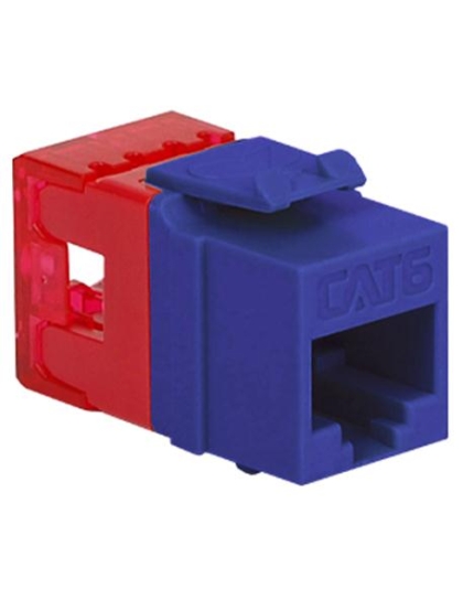 MODULE, CAT 6, HD, PURPLE