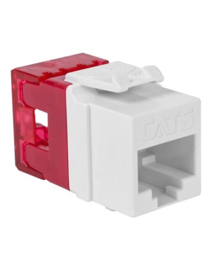 MODULE, CAT 6, HD, 10 PK, WHITE