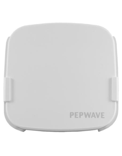 Enterprise Dual Band Access Point