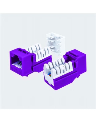 CAT6 JACK PURPLE