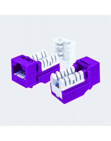 CAT6 JACK PURPLE