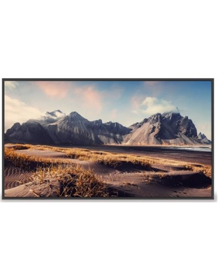 DS 65" Non-Touch LCD Display