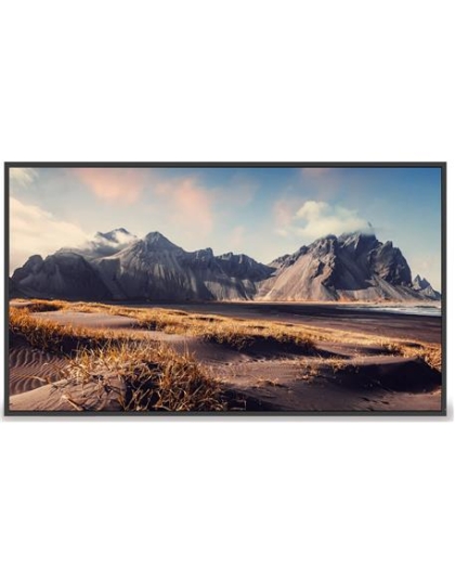 DS 65" Non-Touch LCD Display