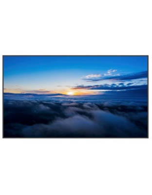 DS 65" Non-Touch LCD Display, 4K