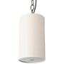 Pendant Speaker 5W White on White Grill