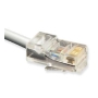 ICLC825FSV / 25' Flat Line Cord 8P8C SV