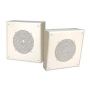 Angled Front Amplified Metal Box Speaker
