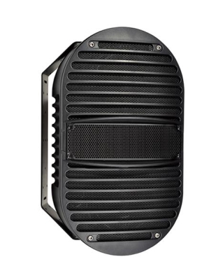 High Output Long Throw Loudspeaker