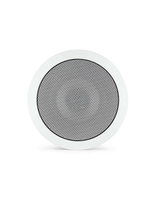 Satellite Ceiling Speaker