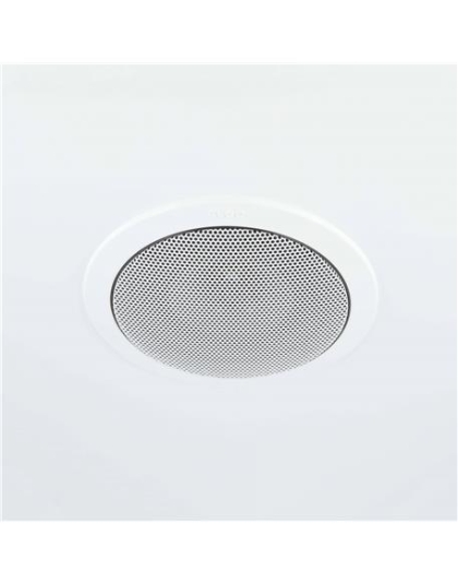 Satellite Ceiling Speaker