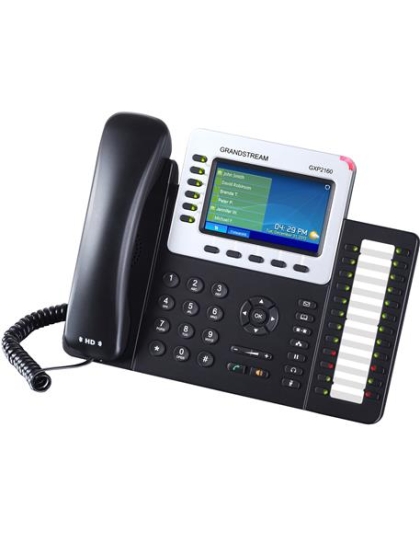 Enterprise IP Telephone