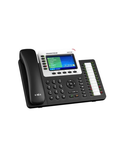 Enterprise IP Telephone