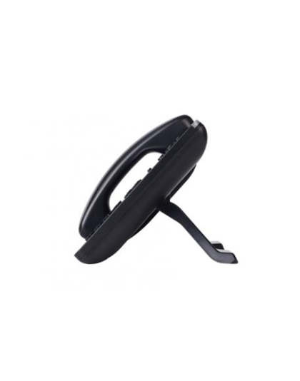 Enterprise IP Telephone
