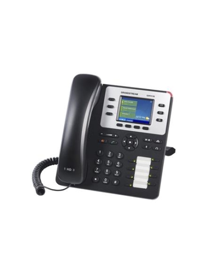 Enterprise IP Telephone