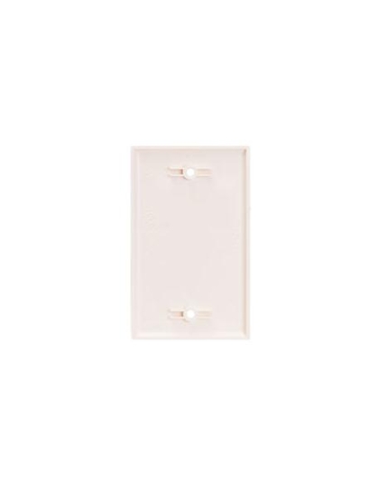 Flush Wall Plate Blank - Almond