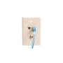 FACEPLATE, IDC, VOICE DATA, F-TYPE, IV