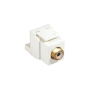 MODULE, RCA IDC, WHITE INSERT, WHITE