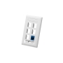 FACEPLATE, ID, 1-GANG, 6-PORT, WHITE