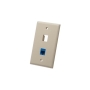 FACEPLATE, FLAT, 1-GANG, 2-PORT, IVORY