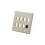 FACEPLATE, FLAT, 2-GANG, 8-PORT, IVORY