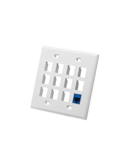 FACEPLATE, FLAT, 2-GANG, 12-PORT, WHITE