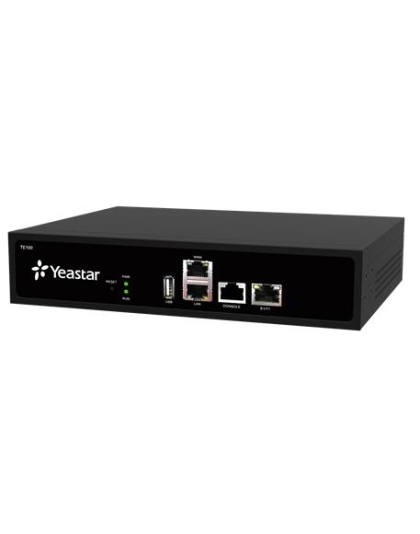 TE100 VoIP PRI Gateway