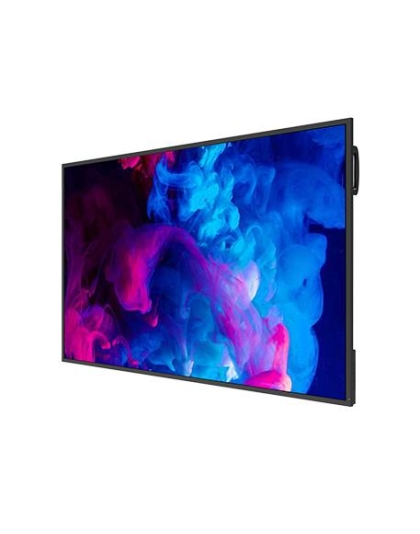 DS 65" Non-Touch LCD Display
