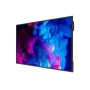 DS 65" Non-Touch LCD Display