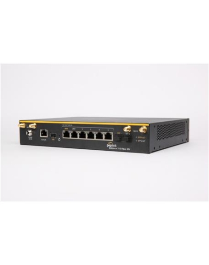 Balance310 Multi-Gigabit Dual WAN Router