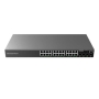 Enterprise Layer 2+Managed 24 port POE