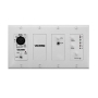 Valcom Remote input module