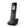 Accessory Handsets with CID