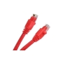 PATCH CORD, CAT 6, MOLDED BOOT, 10'  RD